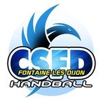 Logo CSFD Handball